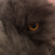 VV-MarArLorGiu :iconvv-mararlorgiu: