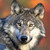 W17 :iconw17: