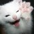 Waldgeyst :iconwaldgeyst: