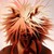 WalterBl :iconwalterbl:
