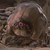 warlover12 :iconwarlover12: