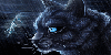 Warrior-Cats-101's avatar