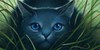 warriorcats4ever101's avatar