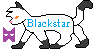 Warriors-Blackstar's avatar