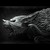 Warriors0015 :iconwarriors0015: