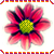 :iconwaterlily2544: