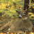 WavetechConsult :iconwavetechconsult: