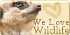 We-Love-Wildlife's avatar