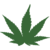 DeviantArt profile picture for @weed on DeviantArt