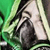 Weenog :iconweenog: