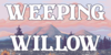 Weeping-Willow-EC's avatar