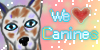 :iconwelovecanines: