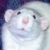 wemberz :iconwemberz: