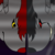 WerewolfPrincess2013 :iconwerewolfprincess2013: