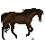 :iconwerner-park-ec: