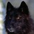 Wesling777 :iconwesling777:
