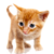 wfrank00 :iconwfrank00: