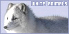 :iconwhite-animals-club: