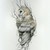 WhiteBrowPygmy :iconwhitebrowpygmy: