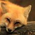 Whiteraven95 :iconwhiteraven95: