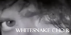 Whitesnake-Choir's avatar