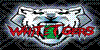 WhiteTigerTeam's avatar