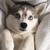 WhiteVanilin :iconwhitevanilin: