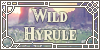 Wild-Hyrule's avatar