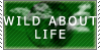 wildaboutlifestamp's avatar