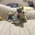 Wilderthegermanwolf :iconwilderthegermanwolf: