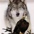 wildhawk441 :iconwildhawk441: