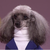 WildHeartLovesAll :iconwildheartlovesall: