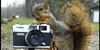 wildlifephotography's avatar