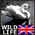 :iconwildlifeuk: