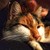 WildWanderinGirl :iconwildwanderingirl: