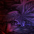williamsurreal :iconwilliamsurreal: