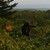 :iconwilltonerphotography: