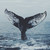 winged-adoptables :iconwinged-adoptables: