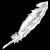 wingedbeings-club :iconwingedbeings-club: