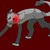 Winter-wolf44 :iconwinter-wolf44:
