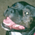 witchhunter-geist :iconwitchhunter-geist: