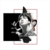 WithTae :iconwithtae: