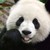 WizPandora :iconwizpandora: