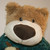 wmdavidson :iconwmdavidson: