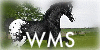 WMS-WildMustanStable's avatar