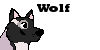 :iconwolf-adoption-agency: