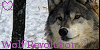 Wolf-Revolution's avatar