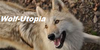 Wolf-Utopia's avatar
