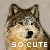 WolfAdoptionCenter's avatar