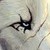 wolfdoglove :iconwolfdoglove: